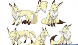 动漫 狐狸,探寻神秘狐狸族的奇幻之旅